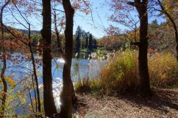 IN3-320 by IN3IJL - 2016 - Lago piccolo di Monticolo (BZ)
Ref.IN3-320
IN3IJL/P 12-11-2016