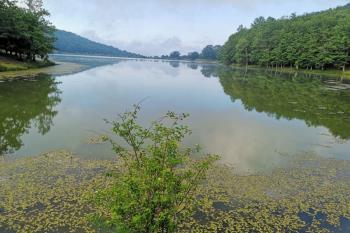 IT9-040 by IT9AAK - 2019 - Lago Biviere (ME)
IT9-040
IT9aak/p 30-06-2019
