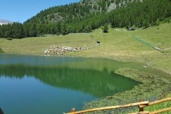 IX1-017 by IZ1ZHG - 2016 - Lago di Lod  (AO.)
Ref. IX1-017
IX1/IZ1ZHG/qrp  09-07-2016