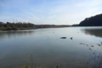 I0-046 by IW0BSQ - 2018 - Lago Nazzano (RM)
Ref. I0-046
IW0BSQ/P  27-01-2018