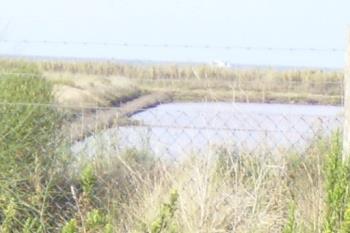 I0-084 by I0SBA - 2016 - Saline di Tarquinia (VT)
Ref. I0-084
I0SBA/P--IU0FSC/P  23-27-09-2016