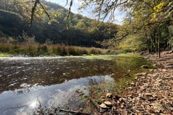 IT9-051 by IT9HJH/P - 2025