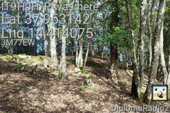 IT9-051 by IT9HJH/P - 2025