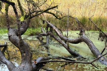 IT9-051 by IT9HJH/P - 2025