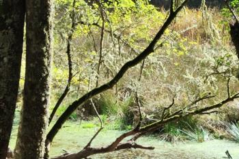 IT9-051 by IT9HJH/P - 2025