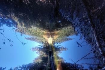 I3-087 by IU3GMW/3 - 2025