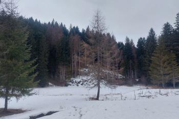 I3-028 by IU3GMW - 2026