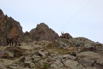 I1-132 by IW1RLC - 2016 - Lago Ischiator Sup.  (CN)
Ref. I1-132
IW1RLC/P qrp 04-09-2016