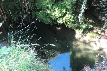 I1-622 by IK1DFH - 2016 - Laghetti di Acquasanta (IM.)
Ref. I1-622
IK1DFH/P--IW1RFB/P   25-08-2016