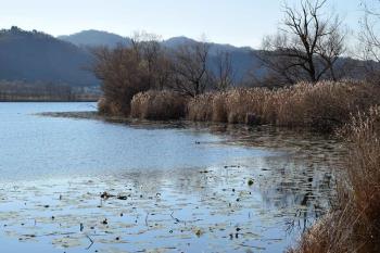 I3-021 by I3LTT - 2016 - Lago San Giorgio (TV.)
Ref. I3-021
I3LTT  06-12-2016