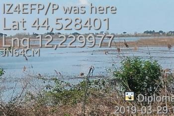 I4-199 by IZ4EFP - 2019 - Laghi Valle Mandriole (RA)
I4-199
IZ4EFP/p 23-03-2019