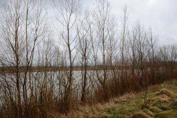 I5-007 by IZ5YHD - 2016 - Lago Montepulciano (SI)
Ref. I5-007
IZ5GST/P 15-02-2016