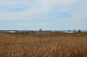 I5-012 by IZ5GST - 2016 - Lago di Massaciuccoli  (LU)
Ref. I5-012
IZ5GST/P  10-03-2016